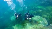 Buceo de altura: el Titicaca que se descubre bajo el agua