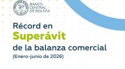 Bolivia logra superávit comercial de $us 2.560 millones, el mayor en 11 años
