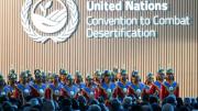 Finanzas y restauración de suelos, en la mesa de negociaciones de la COP17 sobre desertificación