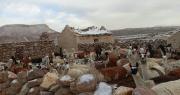 Más de 209.000 cabezas de ganado y casi 29.000 hectáreas de seis departamentos están afectados por las nevadas