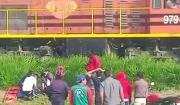 Los Lotes: una persona muere tras ser atropellada por un tren