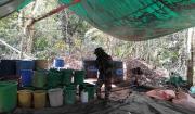 En nueve meses, FELCN secuestra 376 toneladas de marihuana y destruye 446 fábricas
