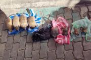 Secuestran quirquinchos y ranas disecadas en el mercado Las Brujas de La Paz