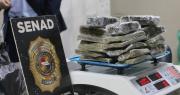 Incautan en Paraguay 5,2 toneladas de marihuana en una zona rural fronteriza con Brasil