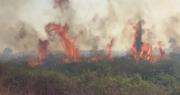 Santa Cruz registra 14 incendios forestales activos y la Gobernación activa alerta naranja