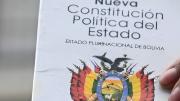 Reforma a la CPE: Vocal calcula hasta 150 días para convocar al referéndum