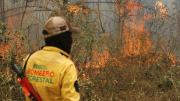 Con 13 incendios activos en el departamento, preocupa la situación meteorológica adversa