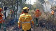 Bolivia registra 628 focos de calor, el 60% en Santa Cruz