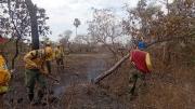 En Santa Cruz bajan de 14 a 10 los incendios activos, según la Gobernación