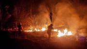 Santa Cruz cierra agosto con 10 incendios forestales activos