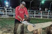 Feria Forestal reunirá negocios, innovación, cultura y tradición maderera en Concepción