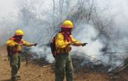 Bomberos forestales avanzan en el control del fuego en San Ignacio