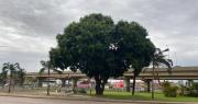 Fuertes vientos y temperaturas bajas marcan la jornada de este domingo en Santa Cruz