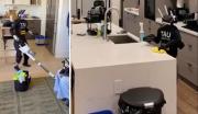 Por 30 dólares la hora, robots humanoides ofrecen servicios de limpieza en San Francisco