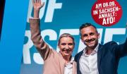 La AfD consolida su avance en Alemania y pone en jaque a partidos tradicionales