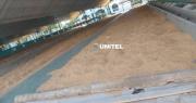 Este miércoles se inicia el ingreso de ganado al campo ferial a 10 días de Expocruz