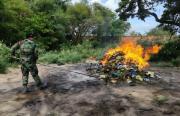 FELCN incinera droga secuestrada en Oruro y Santa Cruz