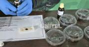 Aprehenden a una adolescente que intentaba vender brownies con marihuana