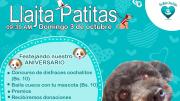 Fundación Una Mano, Una Patita celebrará cinco años con concurso de baile y disfraces
