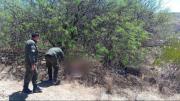 Investigan hallazgo de un hombre decapitado entre matorrales en la ruta a Santiváñez