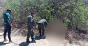 Hallan un cuerpo decapitado y en estado de descomposición escondido entre matorrales