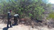 Hallan cuerpo de un hombre entre matorrales en la ruta a Santiváñez