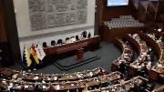 ALP aprueba ampliación del Estado de Excepción por 90 días más con mayoría absoluta