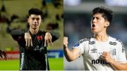 Sin bolivianos en la Libertadores ni en la Sudamericana