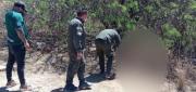 INVESTIGAN HALLAZGO DE UNA PERSONA DECAPITADA EN SANTIVÁÑEZ