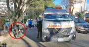 Mujer resulta herida tras ser atropellada por un motociclista cuando intentaba cruzar la calle