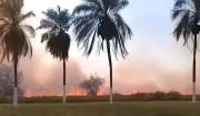 Incendio de pastizales genera alerta en inmediaciones del aeropuerto Viru Viru
