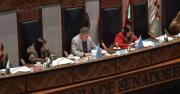 SENADO APRUEBA CRÉDITO DE $US 500 MILLONES DEL BID PARA FINANCIAR LA RENTA DIGNIDAD