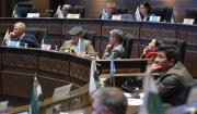 Senado debate el crédito del FMI con dispensación de trámite