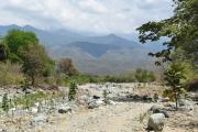 La sequía en Guatemala destruye cultivos y empuja a los campesinos a la supervivencia