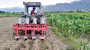 IBCE respalda eliminación de la subvención y plantea convertir a Bolivia en país agroexportador