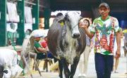 Detrás de un campeón, hay un gran cuidador