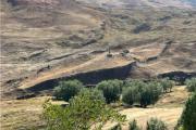 ¿Encontraron el Arca de Noé? Hallan estructuras bajo tierra en Turquía