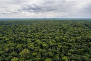 Especialista advierte sobre la expansión del agronegocio brasileño en la Chiquitania y urge una transición hacia la bioeconomía sostenible