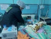 Villazón: investigan intento de infanticidio en contra de dos niños
