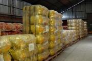 Gobierno perfila que conversión a GNV llegue a 10.000 vehículos en el país