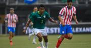 La Verde pierde ante Paraguay por 0-2 y Miguel Terceros falla desde los doce pasos