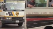 Santa Cruz acató el paro de transporte convocado para este lunes 28 de septiembre