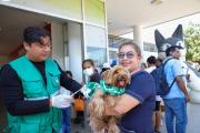 Sedes refuerza la prevención contra la rabia y llama a vacunar a las mascotas