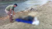 Hallan maniatado y sin vida a un hombre en la zona de Valle Sacta, en Cochabamba
