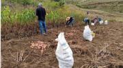 ANÁLISIS La prosperidad rural en Bolivia sí es posible Jorge Gottret