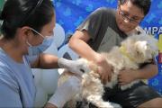 Sedes identifica a ocho personas expuestas tras caso de rabia canina