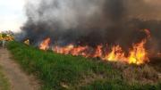 Ola de calor azota San José de Chiquitos: incendios periféricos, crisis de agua y un sorpresivo granizo marcan la jornada