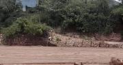 Lluvias en Santa Cruz: Searpi activa alerta naranja y advierte sobre riesgos en cuencas del río Piraí