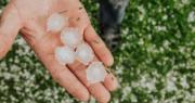 Video: Fuerte granizada sorprende a Caranavi y pobladores muestran la cantidad de hielo en una olla