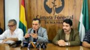 Cámara Forestal denuncia que Chile incinerará toda la madera decomisada pese que hay controversia judicial